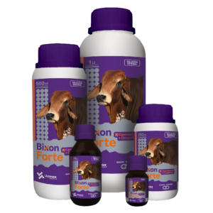 Bixon Forte