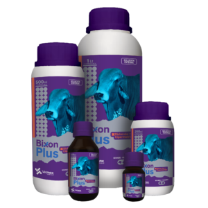 Bixon Plus